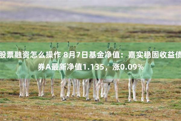 股票融资怎么操作 8月7日基金净值：嘉实稳固收益债券A最新净值1.135，涨0.09%