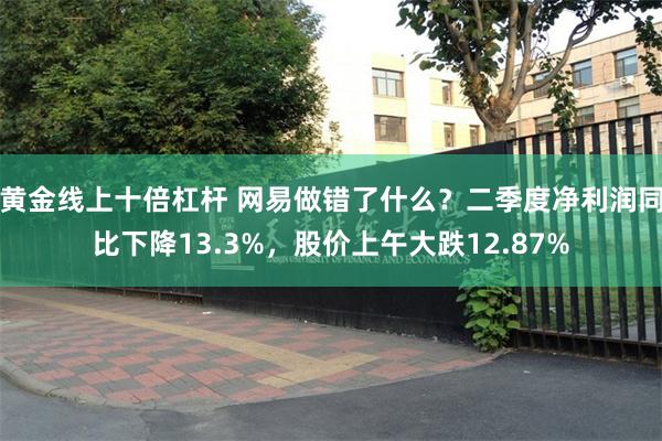 黄金线上十倍杠杆 网易做错了什么？二季度净利润同比下降13.3%，股价上午大跌12.87%