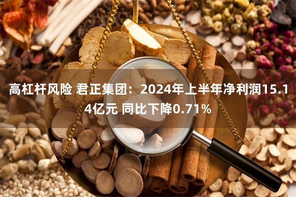 高杠杆风险 君正集团：2024年上半年净利润15.14亿元 同比下降0.71%