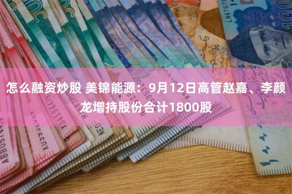 怎么融资炒股 美锦能源：9月12日高管赵嘉、李颜龙增持股份合计1800股